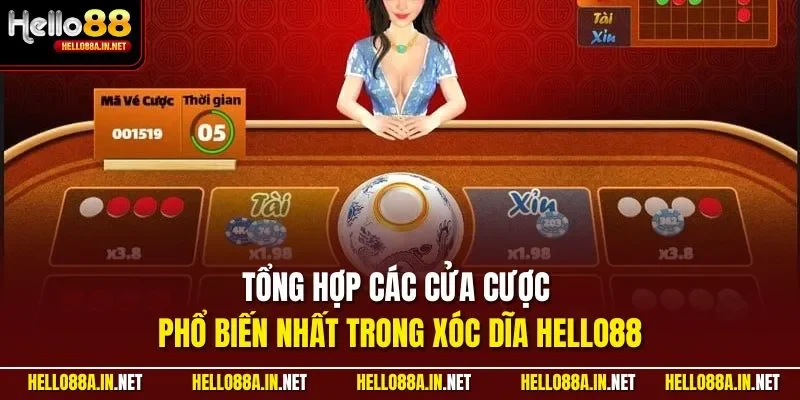 Tổng hợp các cửa cược phổ biến nhất trong xóc dĩa HELLO88